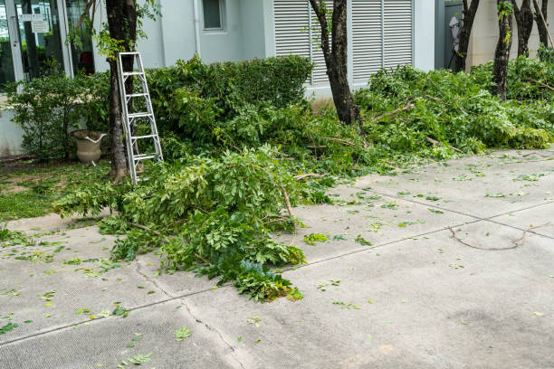 Why Choose Our Tree Removal Services in Brown Station, MD?